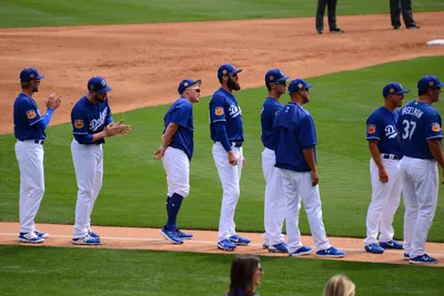 DSC_1558 (Large).JPG